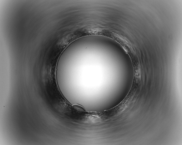 X0000096720572200802051445