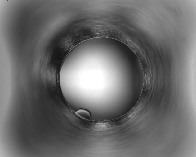 X0000096720574200802051445