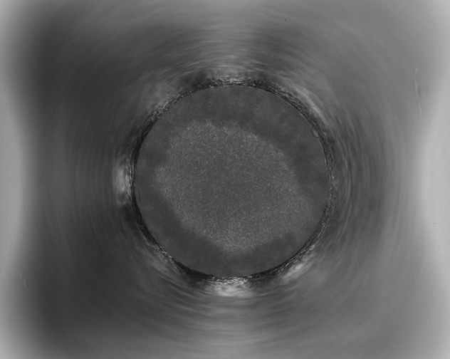 X0000096720576200802051445