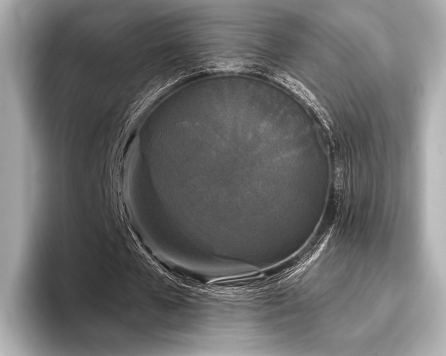 X0000096720577200802051444