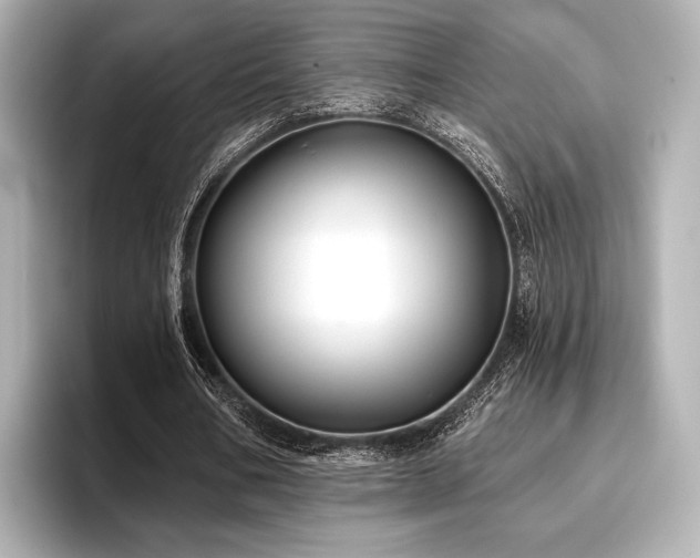 X0000096720578200802051444