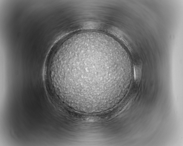 X0000096720579200802051444