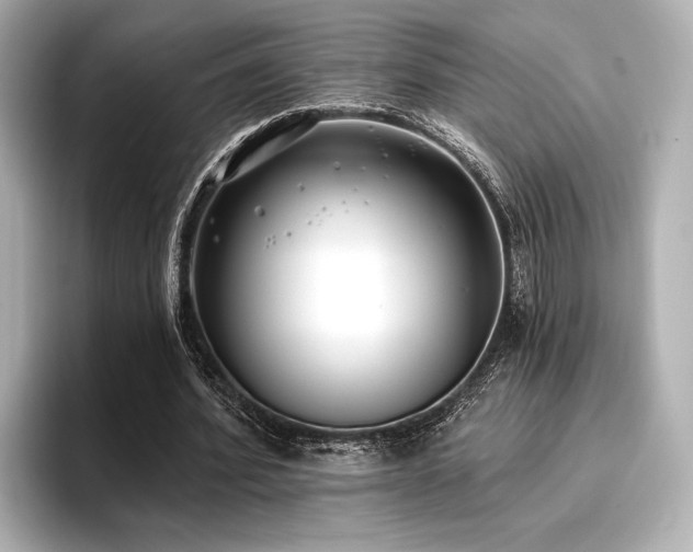 X0000096720580200802051444
