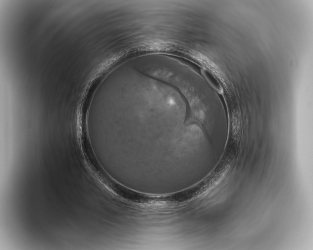 X0000096720581200802051444