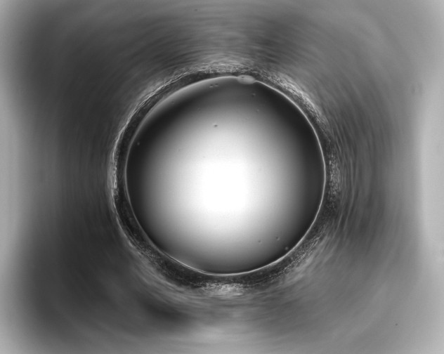 X0000096720582200802051444