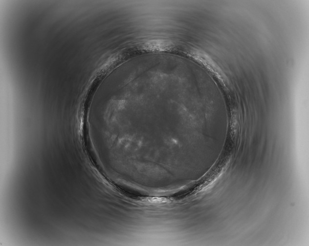 X0000096720585200802051444
