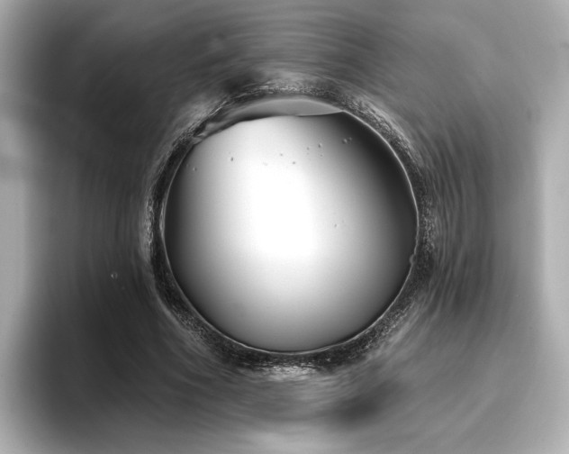 X0000096720586200802051444