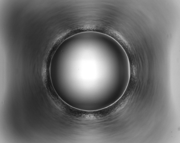 X0000096720588200802051444