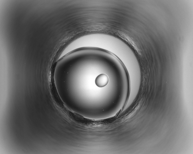X0000096720589200802051444