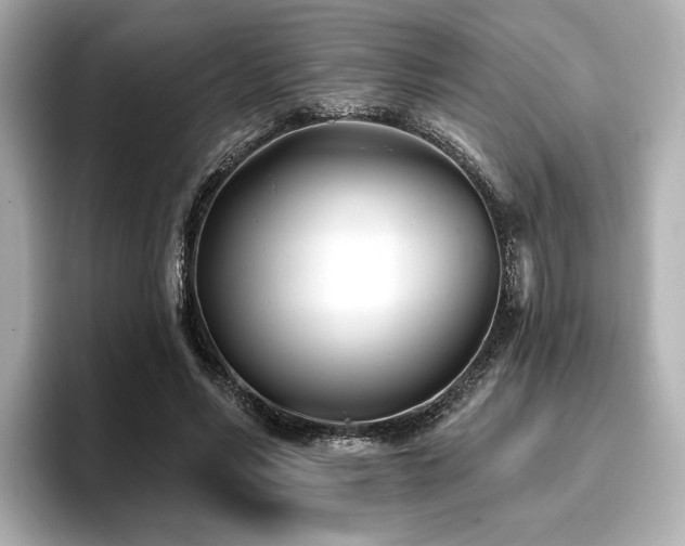 X0000096720590200802051444