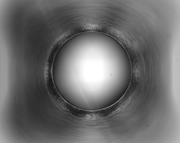 X0000096720591200802051444