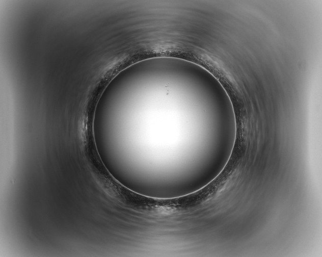 X0000096720592200802051444