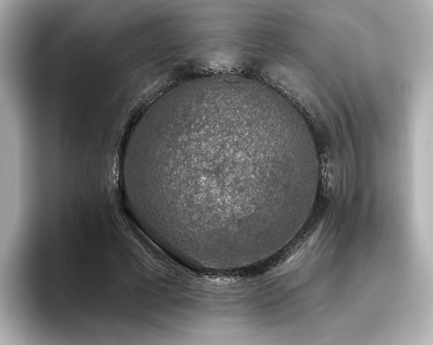 X0000096720593200802051444