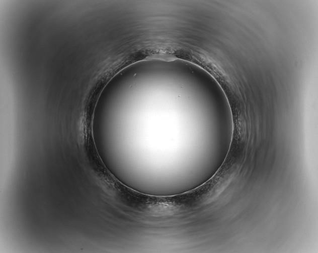 X0000096720594200802051444