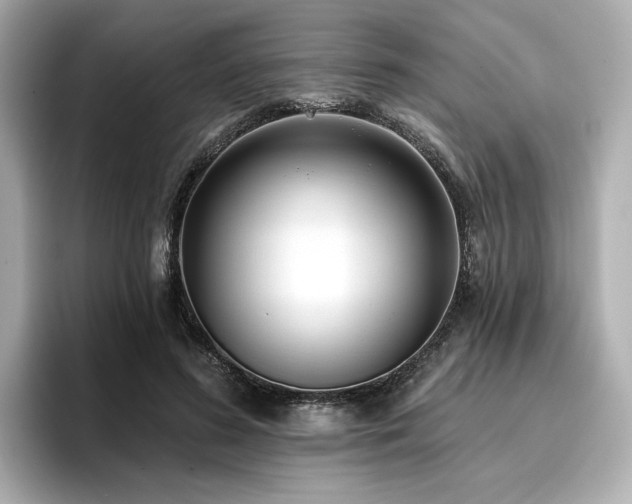 X0000096720596200802051444