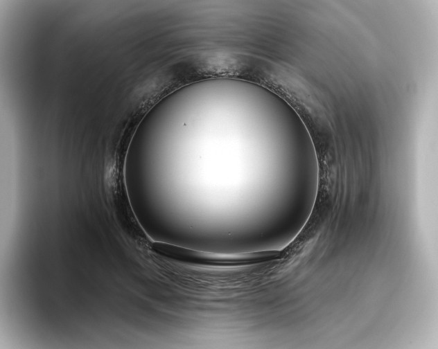 X0000096720597200802051444