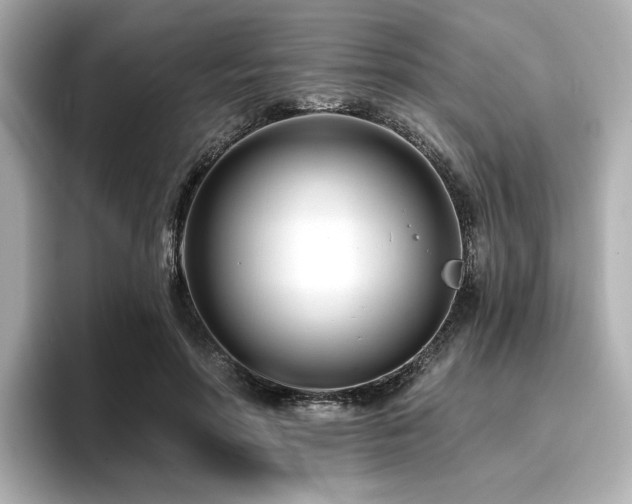 X0000096720598200802051444