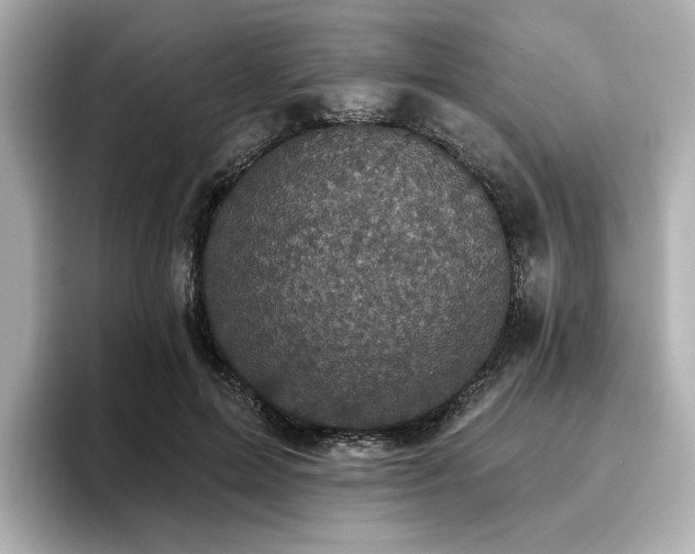 X0000096720599200802051444