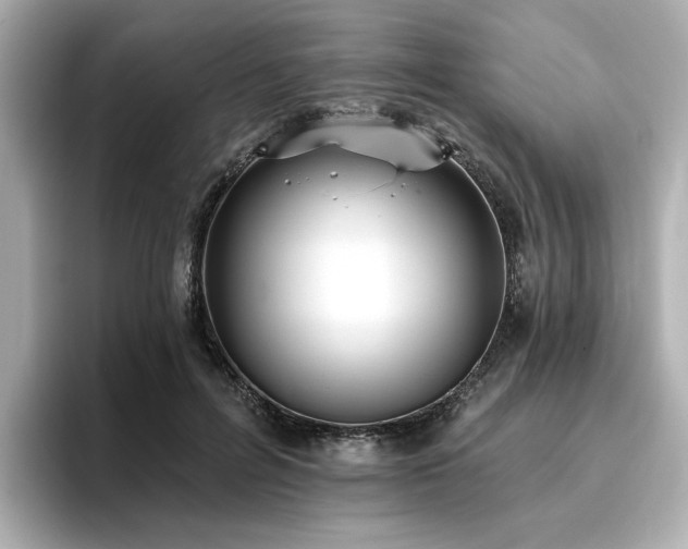 X0000096720600200802051444