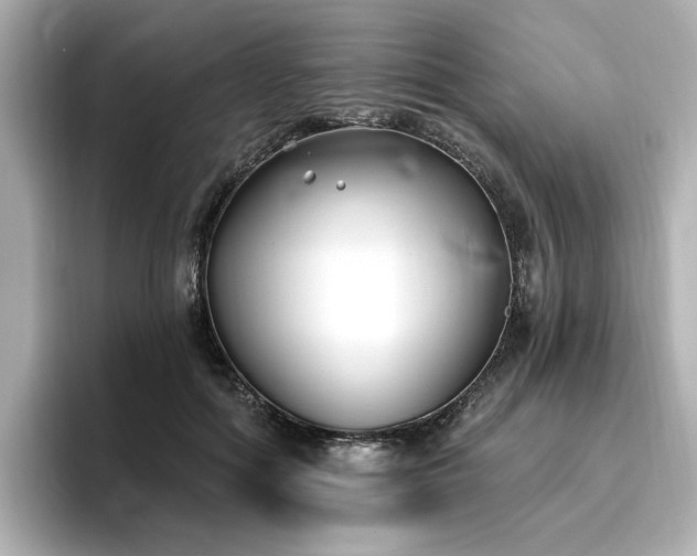 X0000096720602200802051444