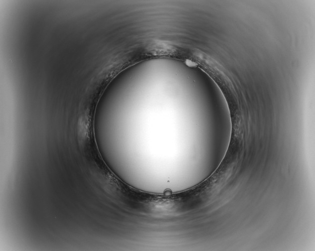 X0000096720604200802051444