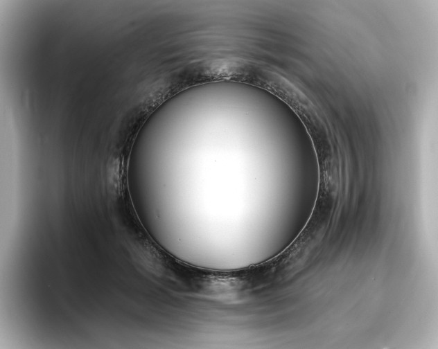 X0000096720605200802051444