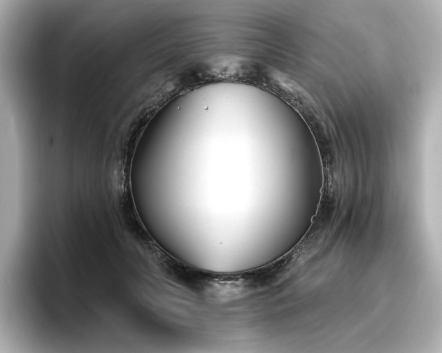 X0000096720606200802051444