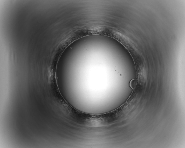 X0000096720608200802051444