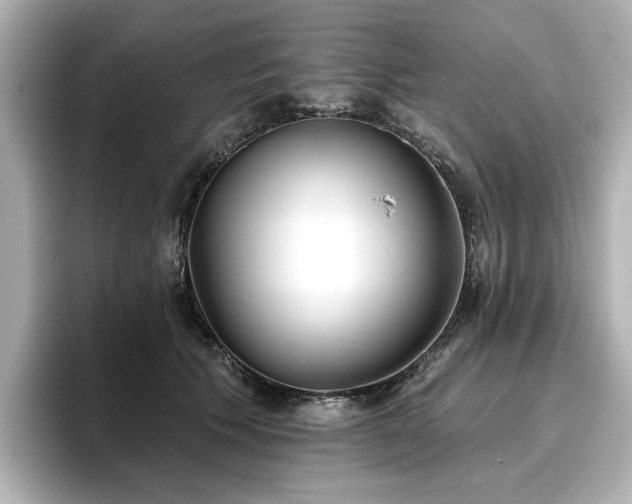 X0000096720609200802051444