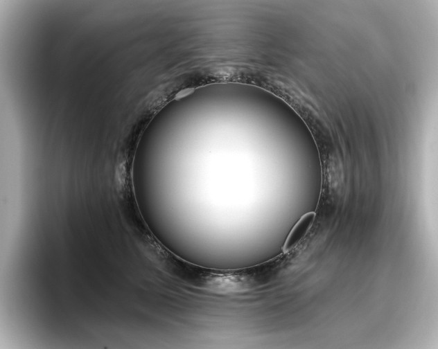 X0000096720611200802051444