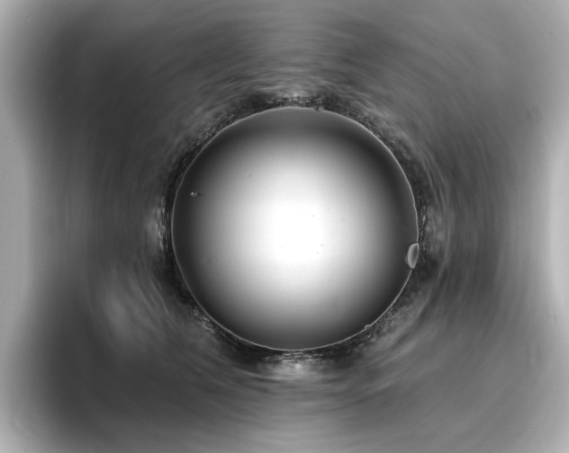 X0000096720612200802051444
