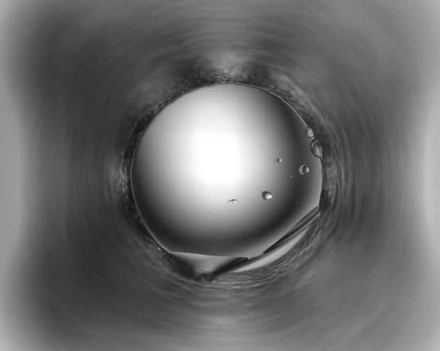 X0000096720613200802051444