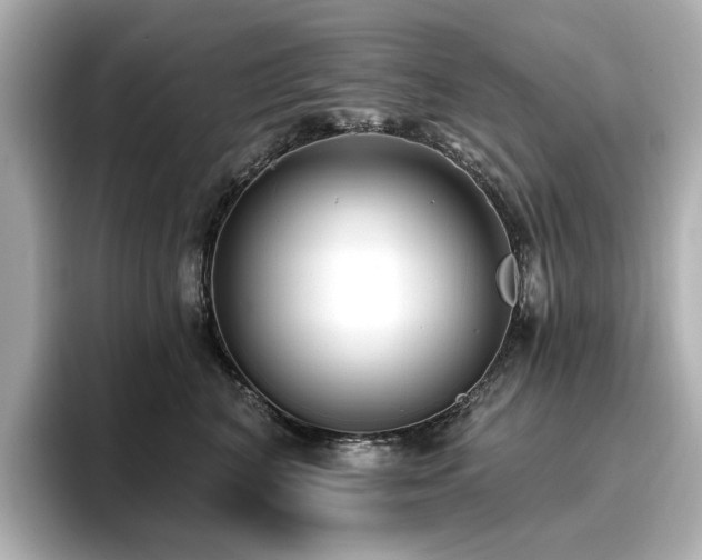 X0000096720616200802051444