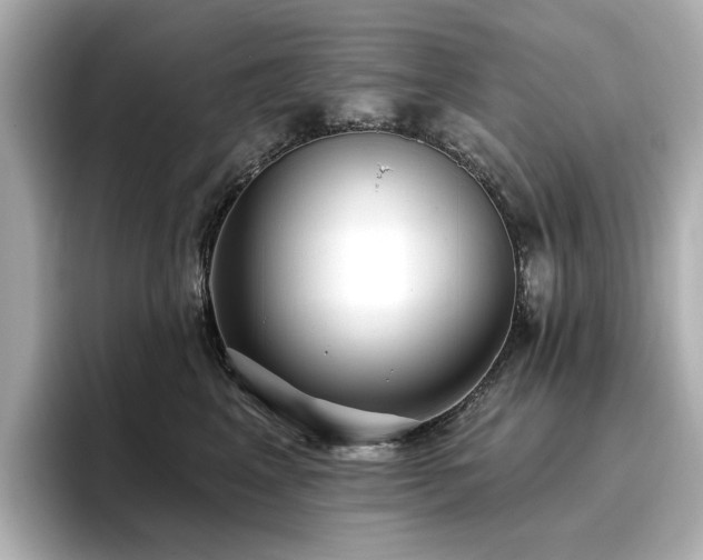 X0000096720617200802051444