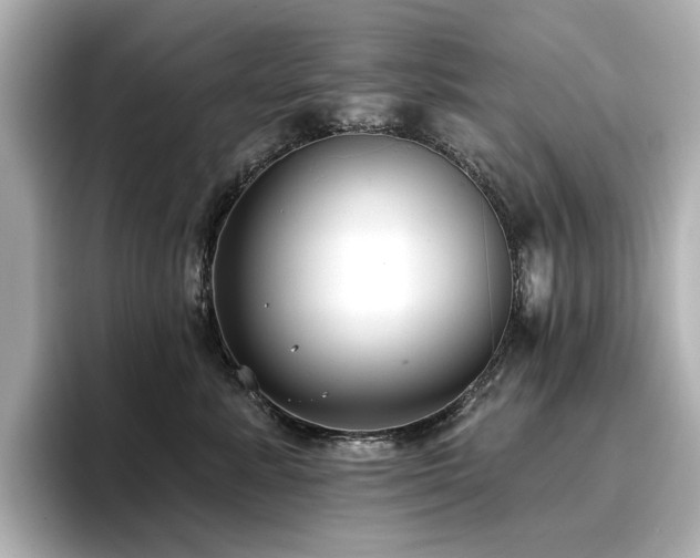 X0000096720619200802051444