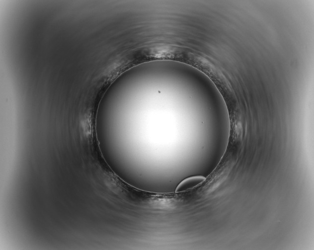 X0000096720620200802051444