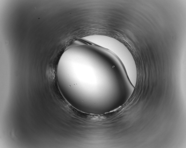 X0000096720621200802051444