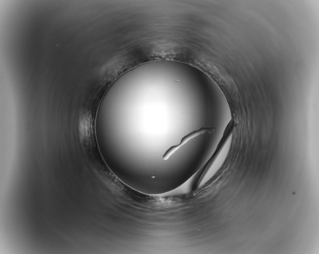 X0000096720623200802051444