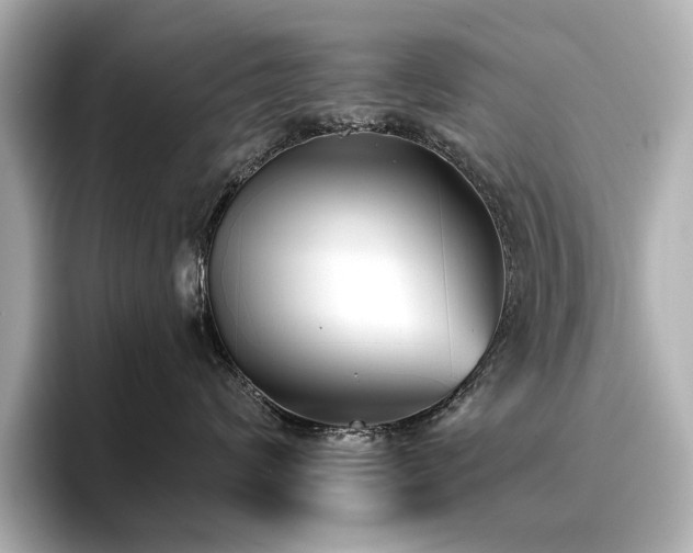 X0000096720624200802051444