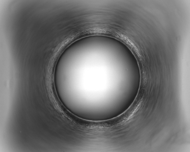 X0000096720625200802051443
