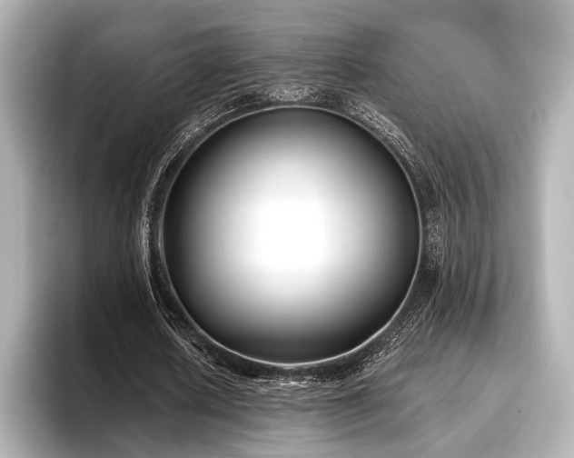 X0000096720626200802051443