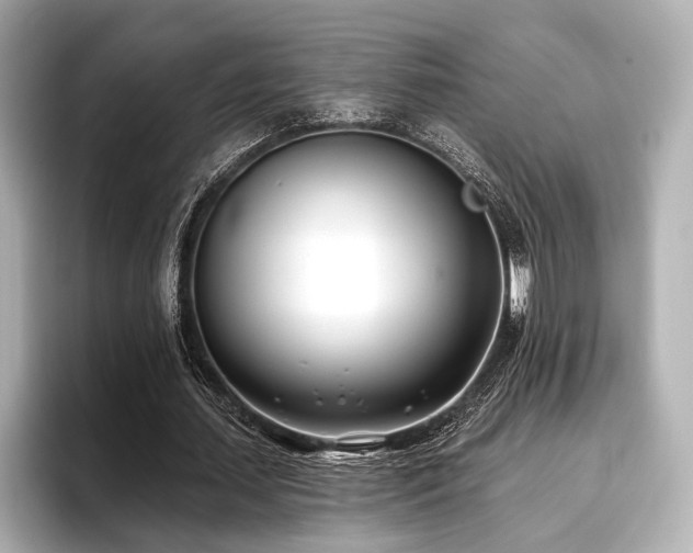X0000096720627200802051443