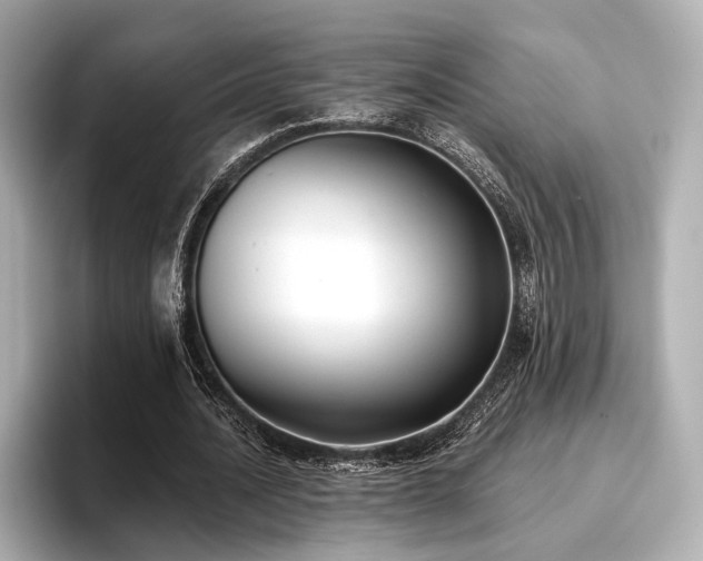 X0000096720628200802051443