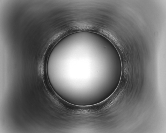 X0000096720629200802051443