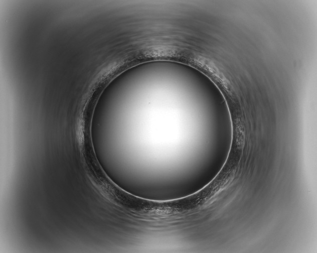 X0000096720631200802051443