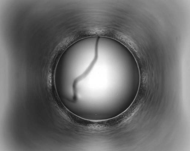 X0000096720633200802051443