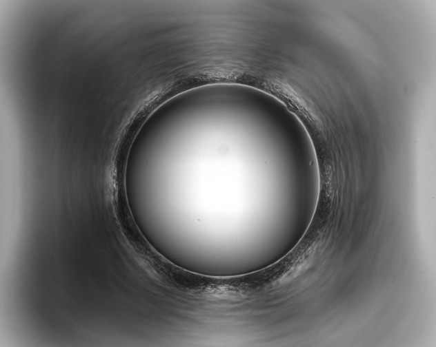 X0000096720634200802051443