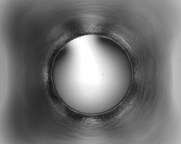 X0000096720635200802051443