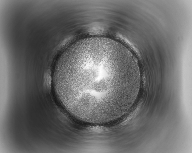 X0000096720637200802051443