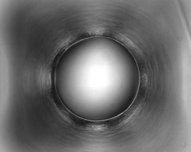 X0000096720638200802051443